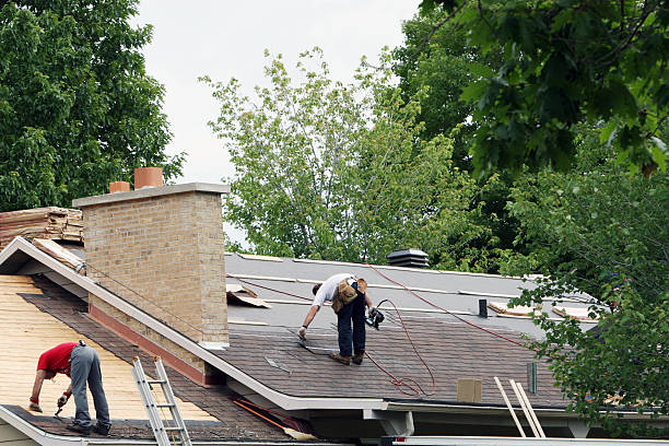 Best Local Roofing Companies  in Stanley, ND