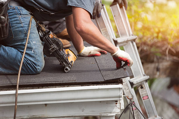 Best Flat Roof Repair Services  in Stanley, ND