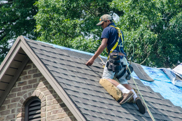 Best Residential Roofing Contractor  in Stanley, ND